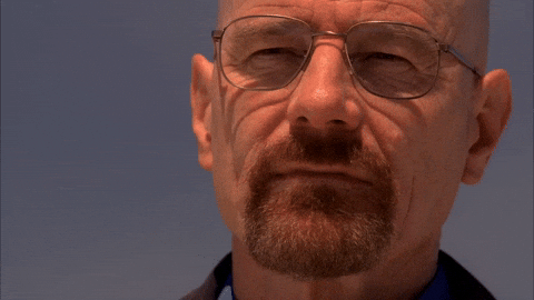 Walter White saying "you're goddamn right."