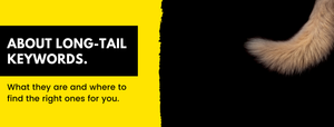 Long-Tail-Keywords: Was das sind und wo du sie findest.